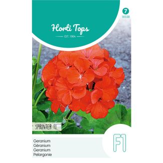 HT Geranium - Sprinter F1