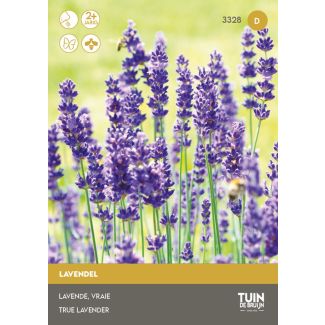 Lavendel zaden kopen