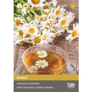 Kamille żaden van Tuin de Bruijn