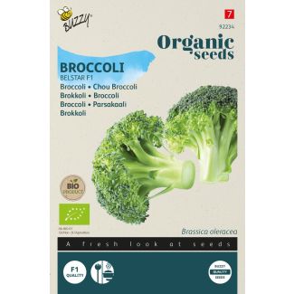 Organic Broccoli Belstar F1  (BIO)