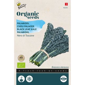 Organic Palmkool Nero di Toscana (BIO)