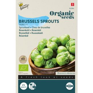 Organic Spruitkool Doric F1  (BIO)