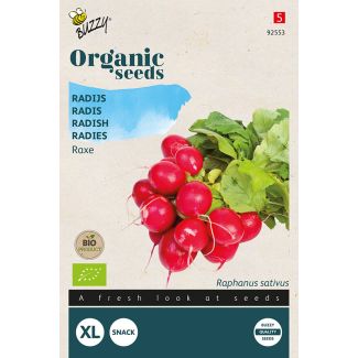 Organic Radijs Raxe (BIO)