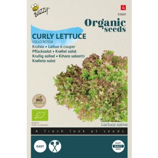 Organic Krulsla Lollo Rossa (BIO)