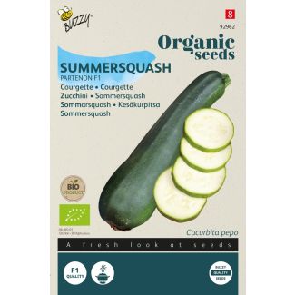 Organic Courgette Partenon F1  (BIO)