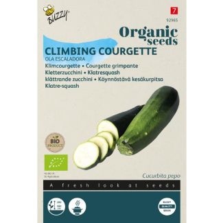 Organic Courgette Black Beauty (BIO)