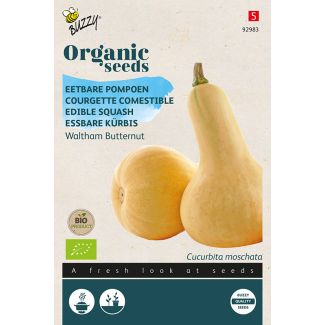 Organic Eetbare Pompoen Waltham Butternut (BIO)