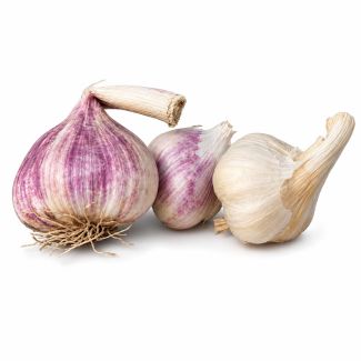 Knoflookbollen Mesidrome zijn groter dan de meeste andere soorten