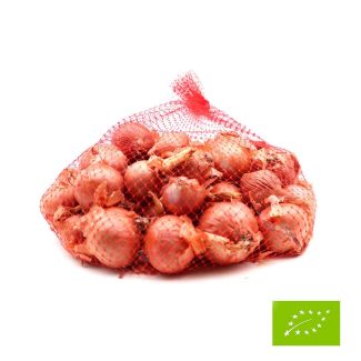 Biologische plantsjalot Biztro