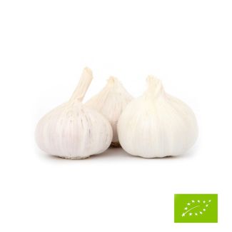 Biologische plantknoflook