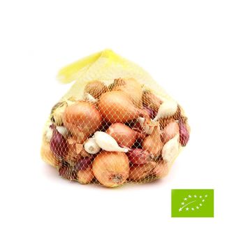 Biologische plantuien en -sjalottenmix