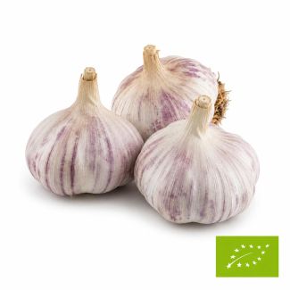 BIO Morado plantknoflook