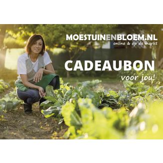 Cadeaubon 10 euro
