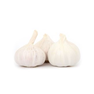 Witte Plantknoflook