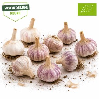 pootgoed seizoensmix