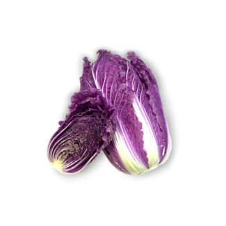 Rode Chinese kool - 6 plantjes