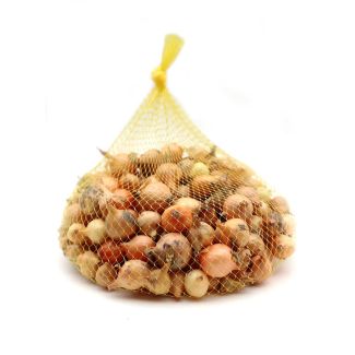 Stuttgarter plantui - 250 g (ca. 50 stuks)