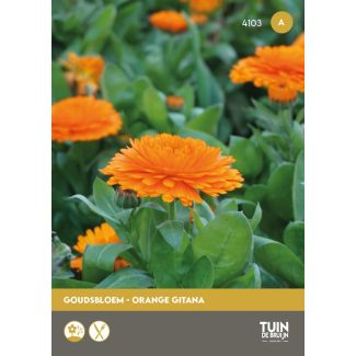 Spinazie zaad - Breedblad scherpzaad