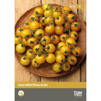 Dille zaden Tuin de Bruijn