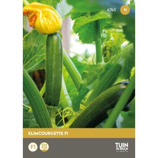 Klimcourgette F1 zaden