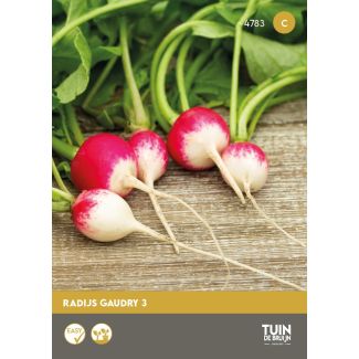 Radijs Gaudry 3 | Tuin de Bruijn