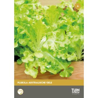 Pluksla zaden Australisch gele