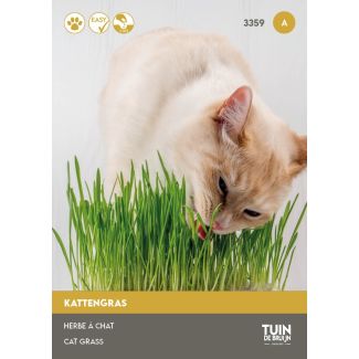 Kattengras zaden