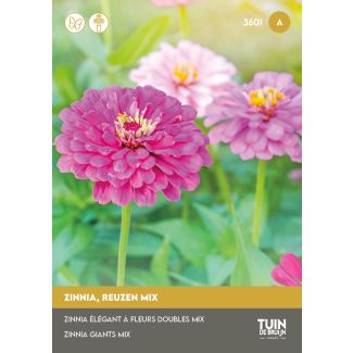 Zinnia, reuzen mix zaden kopen