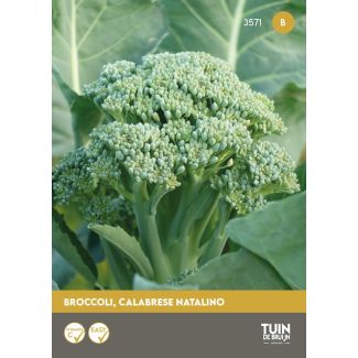 Broccoli zaden kopen