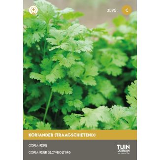 Koriander zaden kopen van Tuin de Bruijn