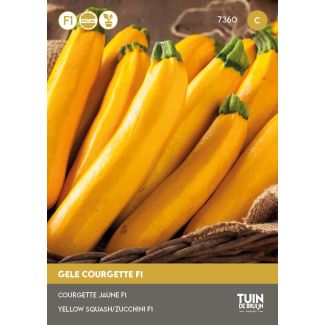 Gele courgette zaden