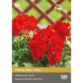 Tuingeranium zaden