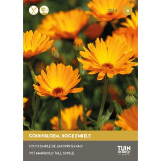 Goudsbloem
