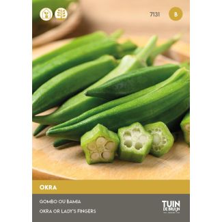 Okra Clemson Spineless | Tuin de Bruijn