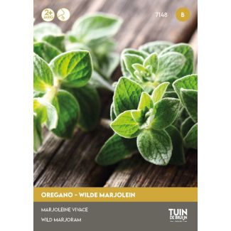 Oregano zaden