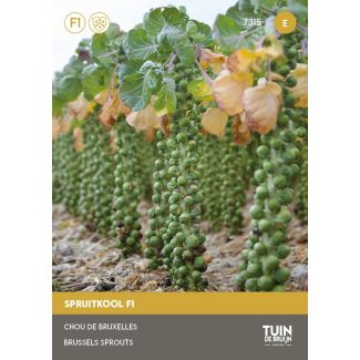Kindvriendelijke spruitjes