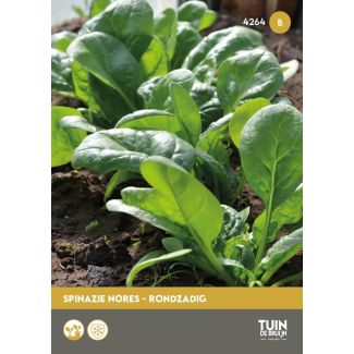 Spinazie zaad - Breedblad scherpzaad