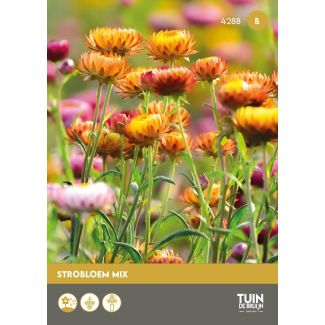 Zonnebloem Teddy Bear zaden