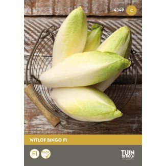 Zaden voor Radijs 18 jours