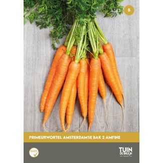 Wortel Amsterdamse Bak 2 Amfine