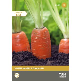 Wortel Amsterdamse Bak 2 Amfine