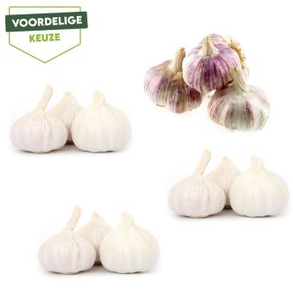 pootgoed seizoensmix