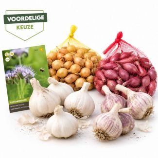 Wintermix - voordelige set met rode en gele plantui, groenbemester en witte en roze knoflook