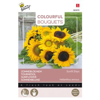 Zonnebloemen Sunlit Days | Colorful Bouquets