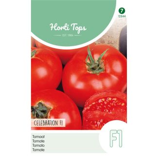 HT Tomaten Celebration F1