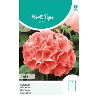 HT Geranium - Chérie F1