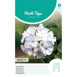 HT Geranium - Apollo F1