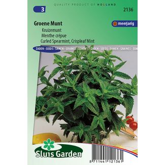 Groene Munt / Kruizemunt