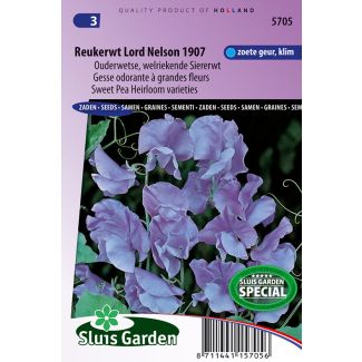 Reukerwt Lord Nelson 1907 (Lathyrus)