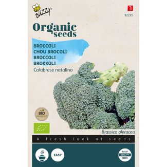 Broccoli Calabrese natalino